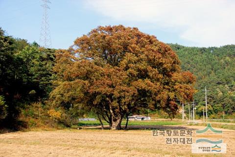 대표시청각 이미지