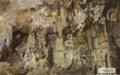 울진 성류굴 종유석과 석순 썸네일 이미지
