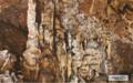 울진 성류굴 석순과 종유석, 석주 썸네일 이미지