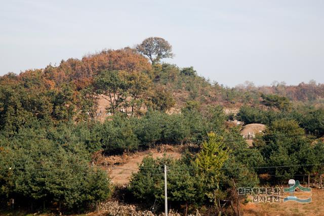 대표시청각 이미지