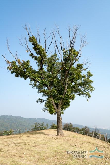 대표시청각 이미지