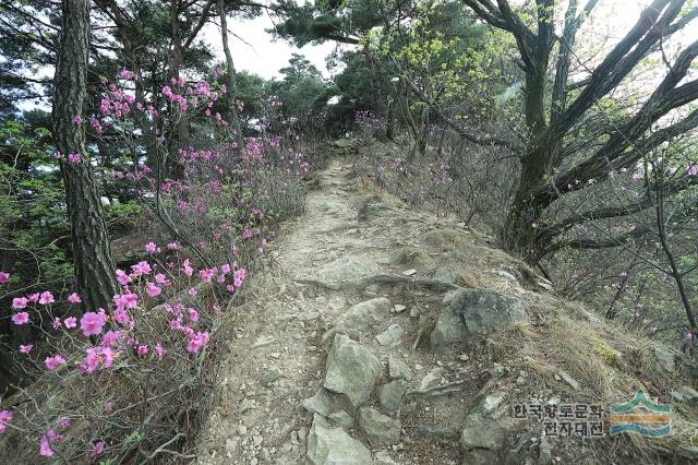 대표시청각 이미지